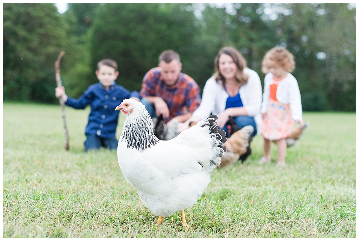 Caiti Garter Photography | Country Family Pictures | Taylor Family | Chickens