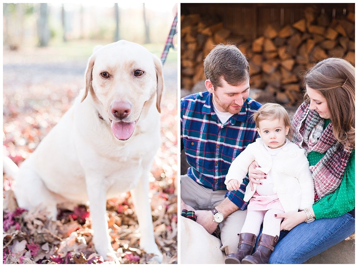 Country Family Pictures, Manquin Virginia, Horse Farm, Farm Family Pictures, Caiti Garter Photography, Flagg Family