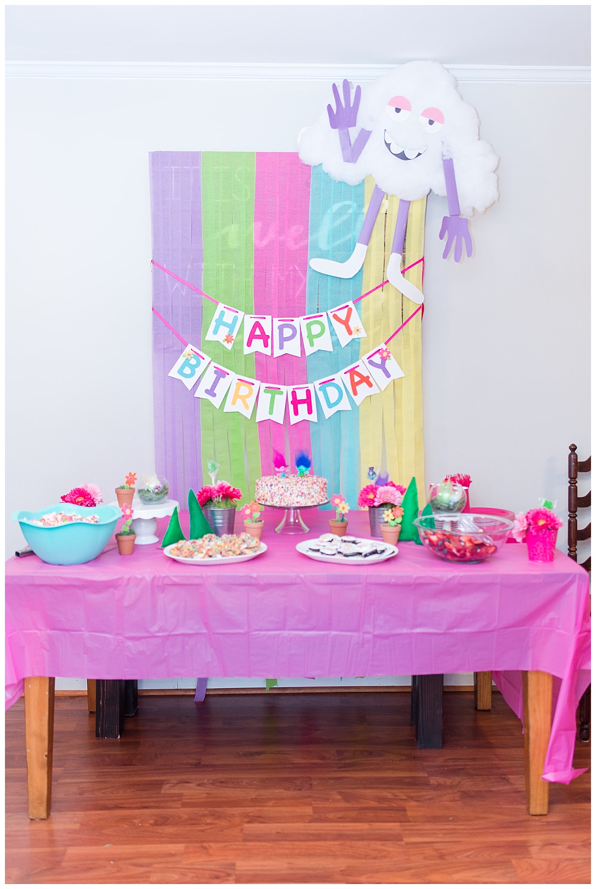 Trolls Birthday Party, Trolls, Trolls Party, Birthday, Sixth Birthday, Hayley Rae, Caiti Garter Photography