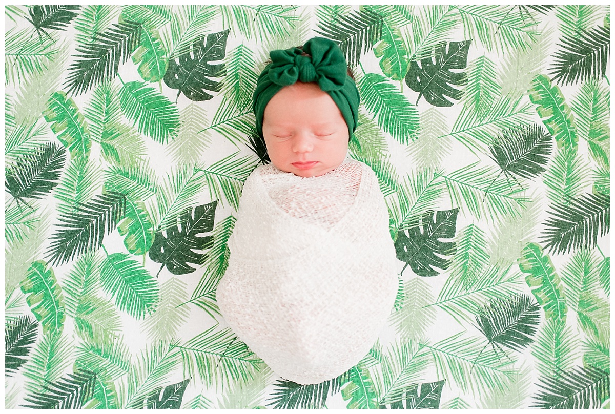 Newborn Photography, Newborn Session, Newborn Photos, Tropical Nursery, Newborn Baby, Baby Girl, Prince George Photographer, Caiti Garter Photography